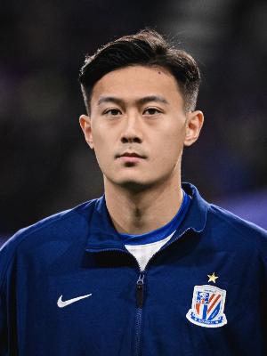 媒体人：申花吸金能力中超独一档，胸前广告6个亿、背后广告1个亿